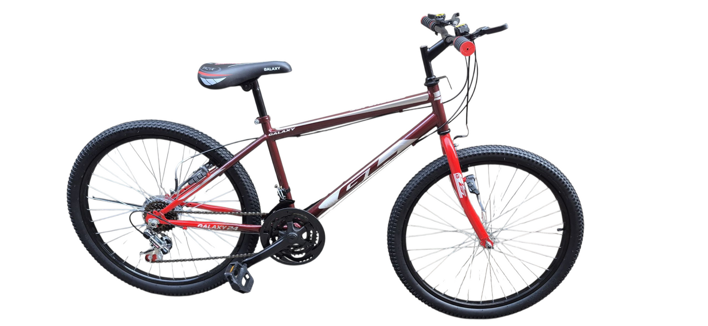 24" GL galaxy MTB