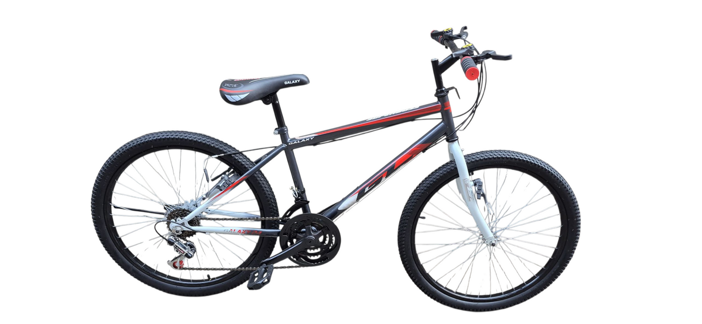 24" GL galaxy MTB