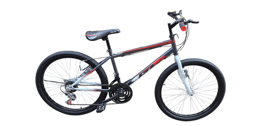 24" GL galaxy MTB
