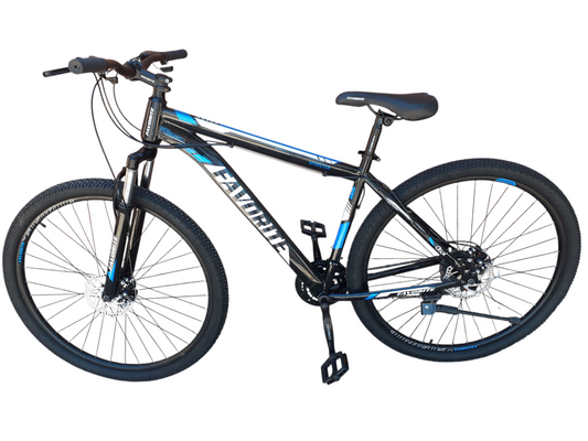 29" FAVORITE MTB